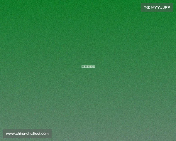 河南武林风最新比赛